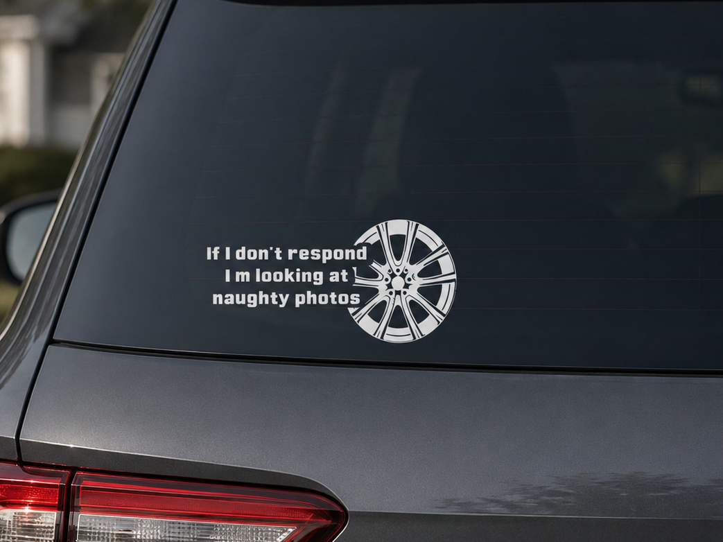 If I don't respond I'm looking at naughty photos (wheel image)